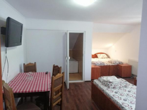 vila elly Piatra Neamţ